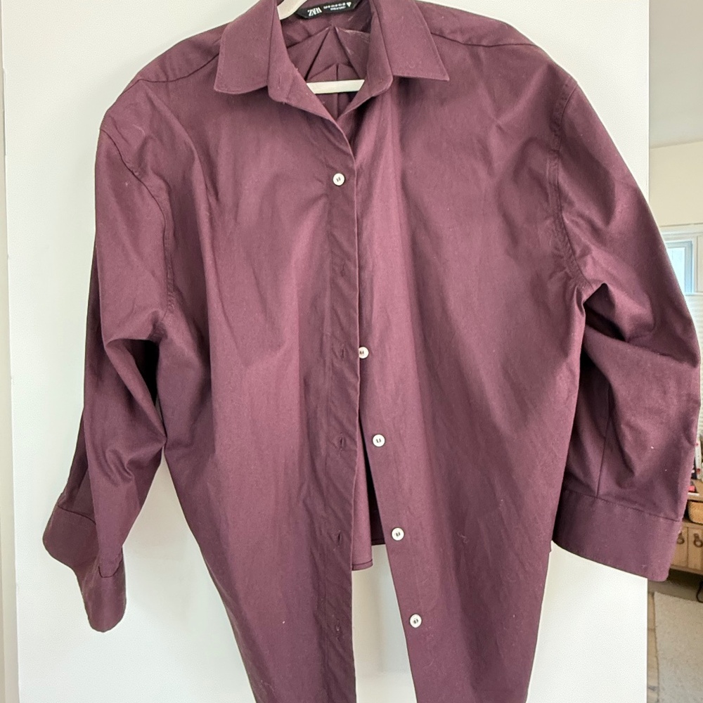 Zara eggplant collared shirt